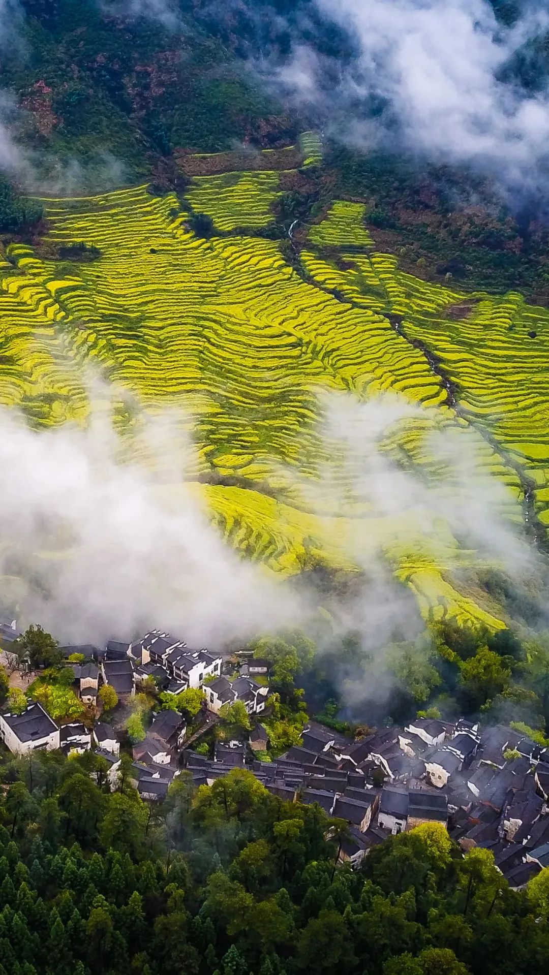 江西，红色故土绽放绿色发展新篇章