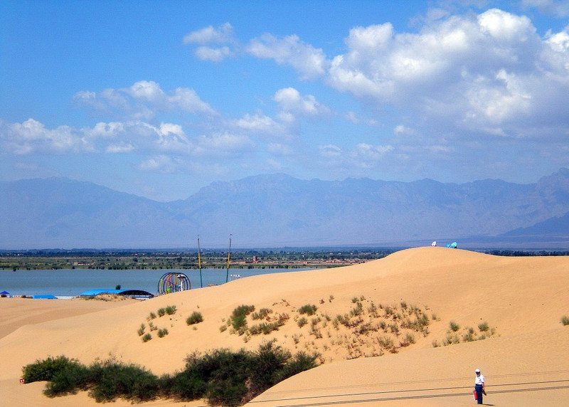 深藏小巷的宁夏秘密花园